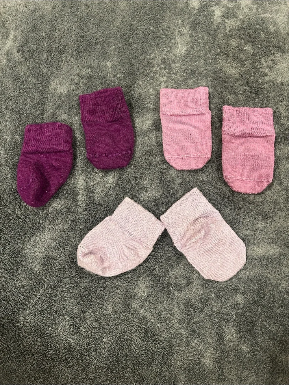 Orchid Collection Squid Socks